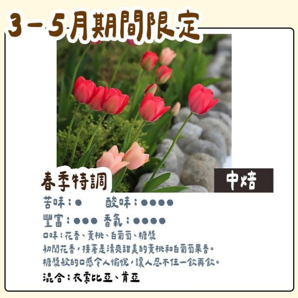 【3月~5月團限定】丸山咖啡 期間限定 春季咖啡豆 丸山咖啡,咖啡豆,咖啡濾掛,咖啡包,季節限定,兔瑪星日本選物店