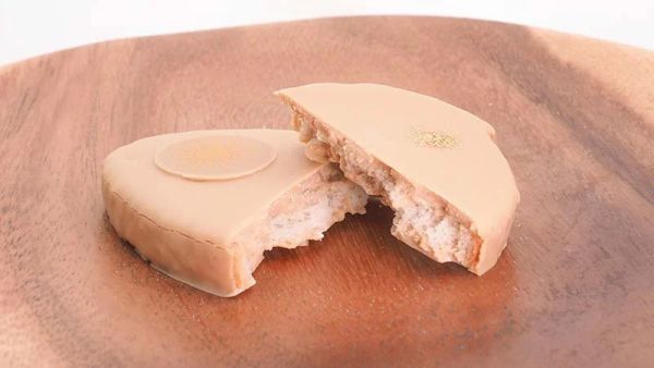 【10~4月限定】太陽王巧克力 GATEAU FESTA HARADA 法國麵包脆餅 GATEAU FESTA HARADA,法國麵包脆餅,兔瑪星日本選物店,太陽王巧克力