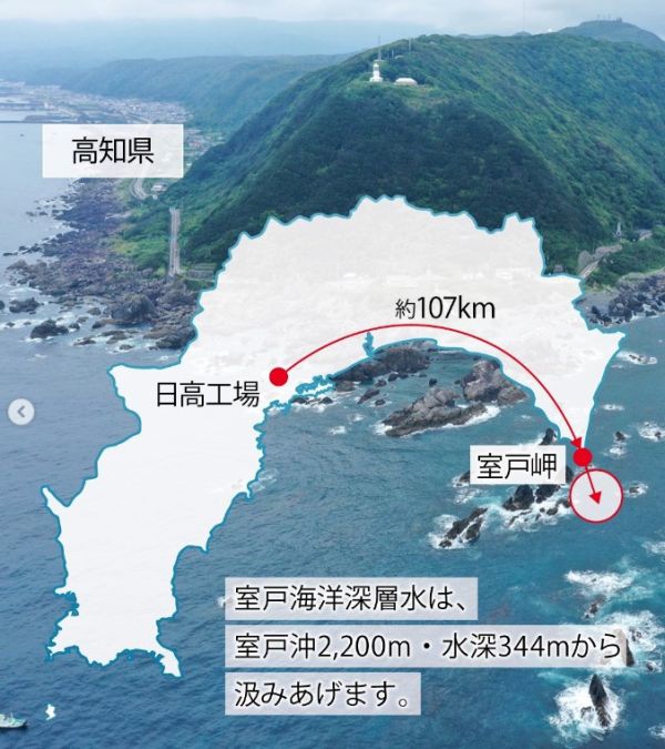 【8月團限定】芋屋金次郎 深層水鹽蜜糖地瓜條 芋屋金次郎,蜜糖地瓜條,期間限定,兔瑪星日本選物店