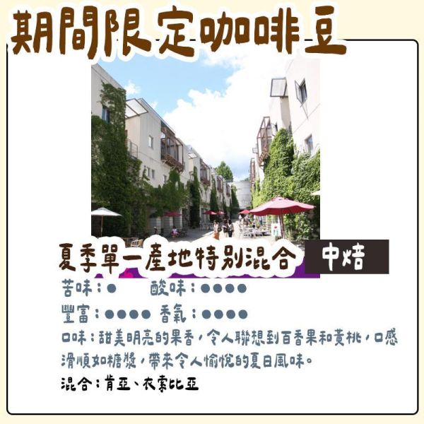 【6月~8月團限定】丸山咖啡 期間限定 夏季咖啡豆 丸山咖啡,咖啡豆,咖啡濾掛,咖啡包,季節限定,兔瑪星日本選物店