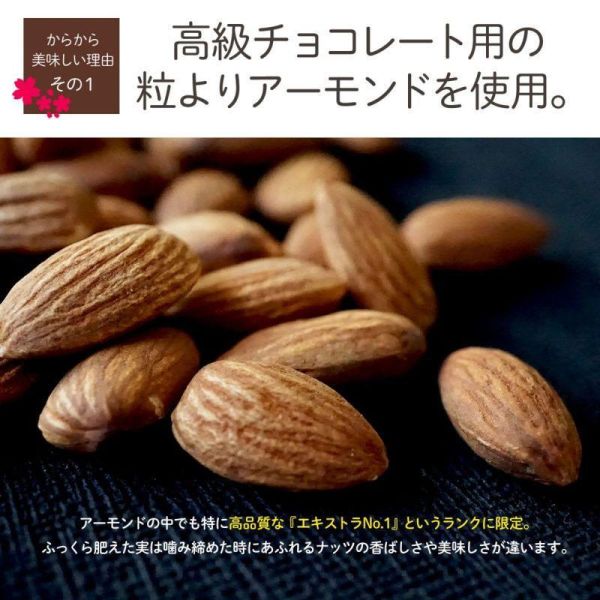 舞妓杏仁 山核桃專賣店 舞妓杏仁,山核桃專賣店,salonderoyal ,兔瑪星日本選物店