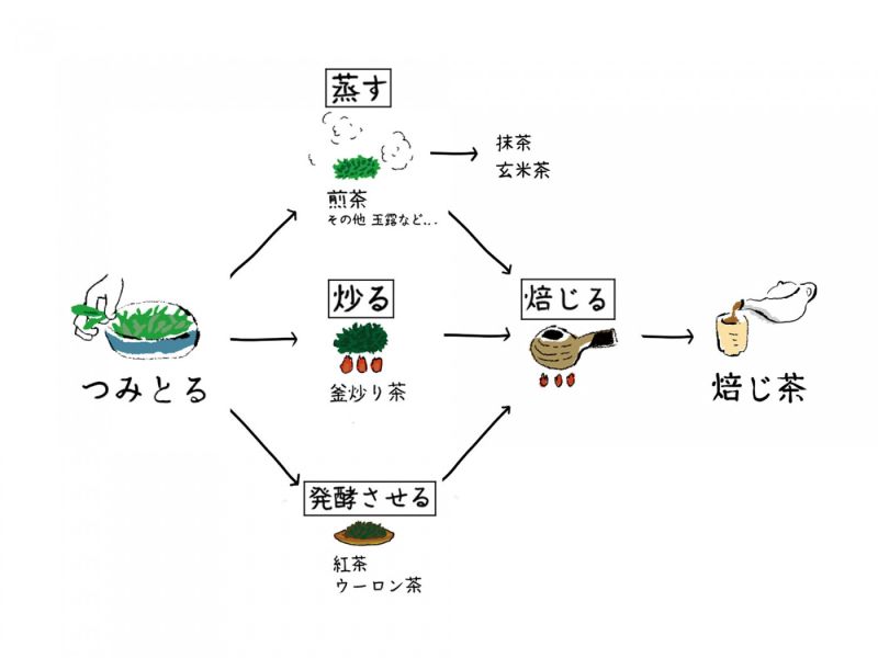 丸八製茶場 献上加賀棒茶 丸八製茶場,献上加賀棒茶