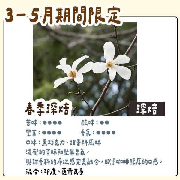 【3月~5月團限定】丸山咖啡 期間限定 春季咖啡豆 丸山咖啡,咖啡豆,咖啡濾掛,咖啡包,季節限定,兔瑪星日本選物店