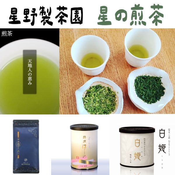 星野製茶園 星野煎茶、白姫 星野製茶園,星野煎茶,白姫,特撰ほしの,星野はつつみ,ほしの優,八女有機栽培茶