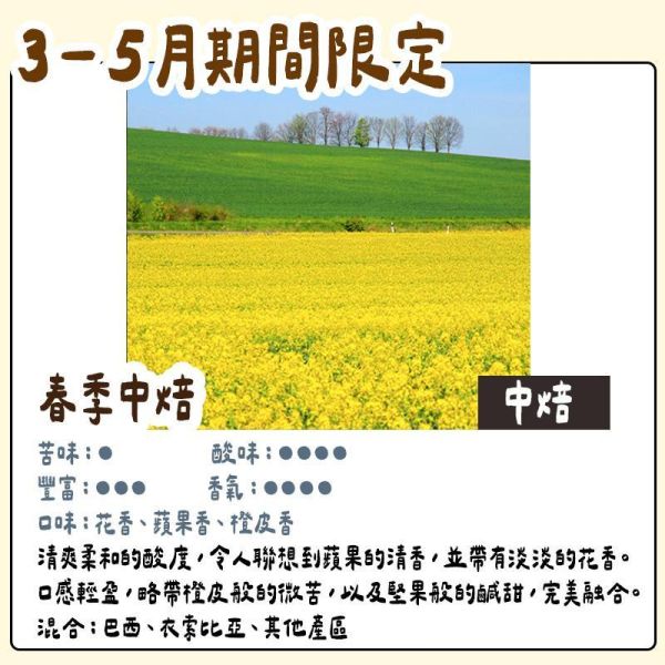 【3月~5月團限定】丸山咖啡 期間限定 春季咖啡豆 丸山咖啡,咖啡豆,咖啡濾掛,咖啡包,季節限定,兔瑪星日本選物店