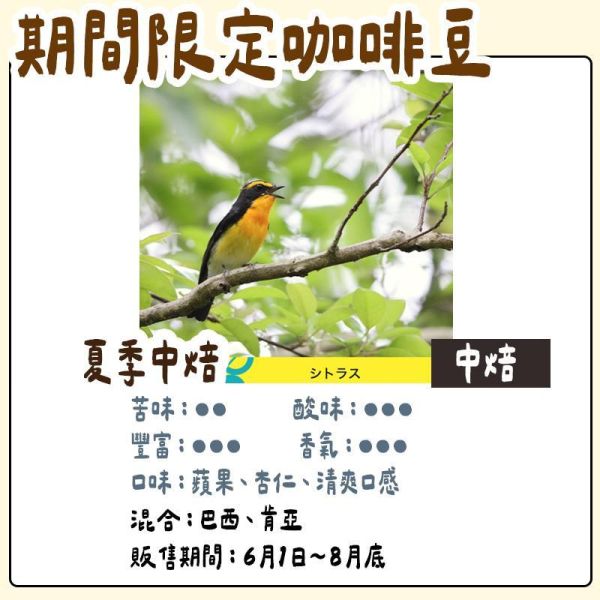 【6月~8月團限定】丸山咖啡 期間限定 夏季咖啡豆 丸山咖啡,咖啡豆,咖啡濾掛,咖啡包,季節限定,兔瑪星日本選物店
