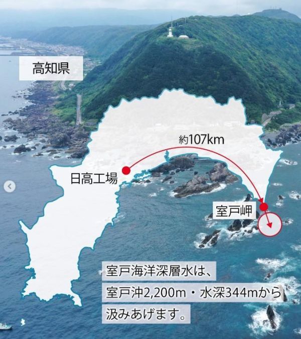 【6月團限定】深層水鹽地瓜條 芋屋金次郎 芋屋金次郎,蜜糖地瓜條,鹽地瓜條,期間限定,兔瑪星日本選物店