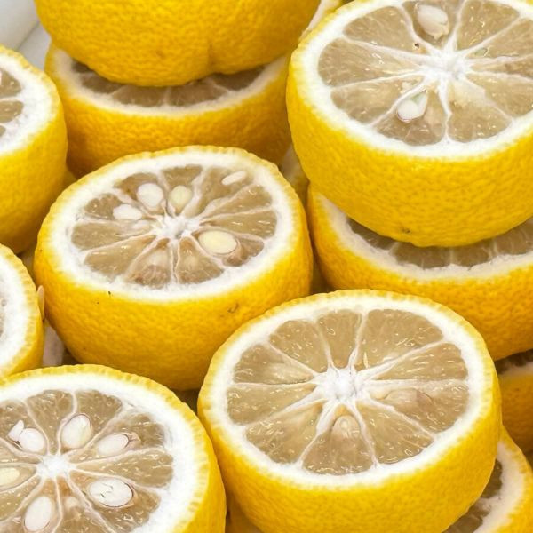 【12月~1月限定】永樂屋 木頭柚子果醬 永樂屋,木頭柚子醬,柚子果醬,兔瑪星日本選物店