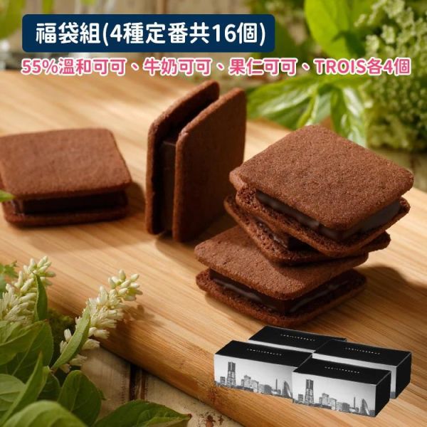 （4/20提早收單）Vanillabeans 定番口味福袋組16入 橫濱巧克力 Vanillabeans,巧克力夾心,兔瑪星日本代購,trois,松露巧克力,橫濱巧克力