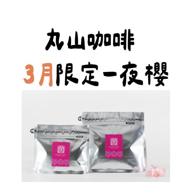 【3月團限定】丸山咖啡 夜櫻混合 丸山咖啡,咖啡豆,咖啡濾掛,咖啡包,季節限定,兔瑪星日本選物店