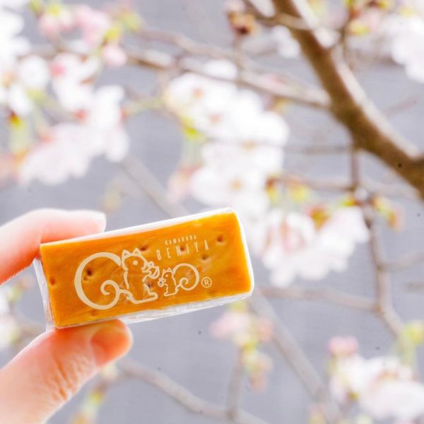 鎌倉紅谷核桃糕 鎌倉紅谷核桃糕,兔瑪星日本選物店