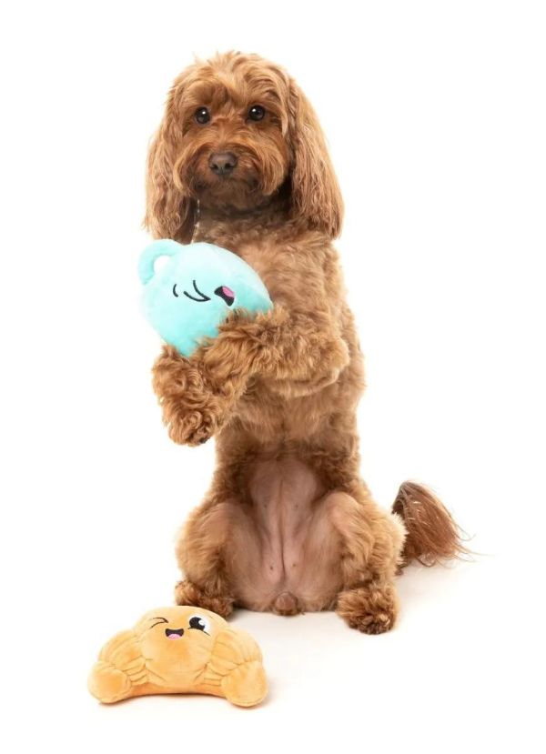 【FuzzYard】Croissant & Cappuccino 2PK 可頌與卡布 2入組｜澳洲設計 耐咬耐玩發聲玩具 可機洗 Fuzzyard,可頌與卡布,可頌狗玩具,咖啡狗玩具,狗狗玩具,狗狗耐咬玩具,發聲狗玩具,啾啾玩具,肉造型狗玩具,狗狗互動玩具,狗狗放電玩具,狗狗紓壓玩具,寵物療癒玩具,小型犬玩具推薦,寵物陪伴玩具