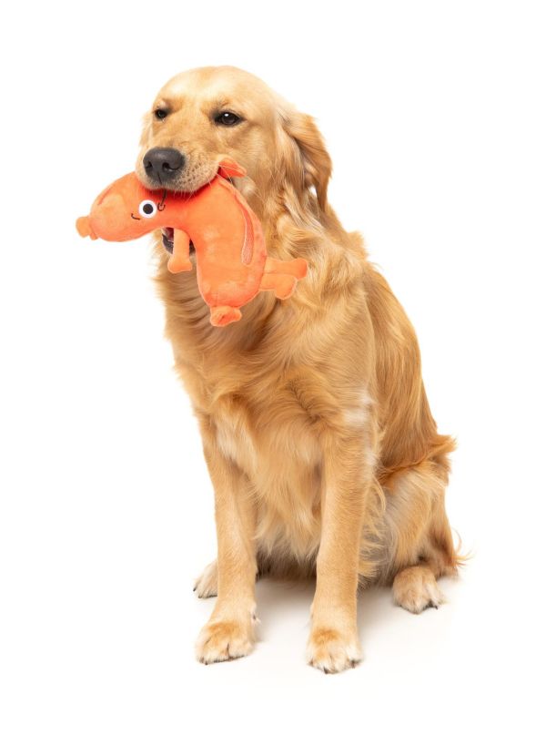 【FuzzYard】Brad Wurst 歪歪腸｜澳洲設計 耐咬耐玩發聲玩具 可機洗 Fuzzyard,歪歪腸,香腸狗玩具,狗狗玩具,狗狗耐咬玩具,發聲狗玩具,啾啾玩具,肉造型狗玩具,狗狗互動玩具,狗狗放電玩具,狗狗紓壓玩具,寵物療癒玩具,小型犬玩具推薦,寵物陪伴玩具