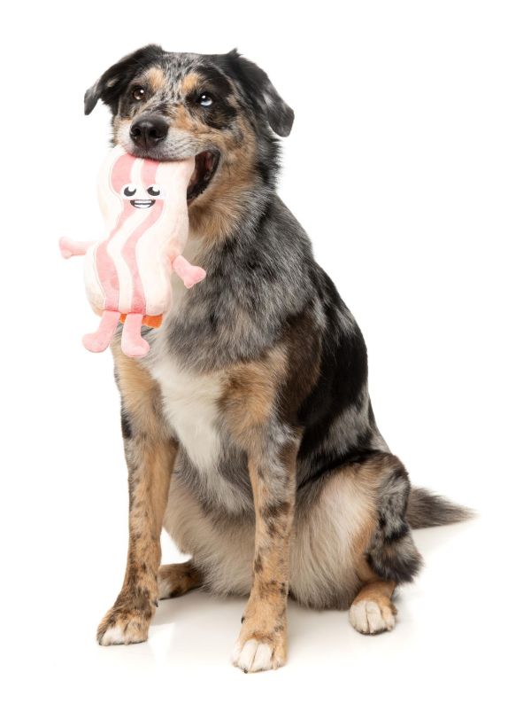 【FuzzYard】Kevin Bacon-Strip 培根凱文｜澳洲設計 耐咬耐玩發聲玩具 可機洗 Fuzzyard,歪歪腸,培根狗玩具,狗狗玩具,狗狗耐咬玩具,發聲狗玩具,啾啾玩具,培根造型狗玩具,狗狗互動玩具,狗狗放電玩具,狗狗紓壓玩具,寵物療癒玩具,小型犬玩具推薦,寵物陪伴玩具