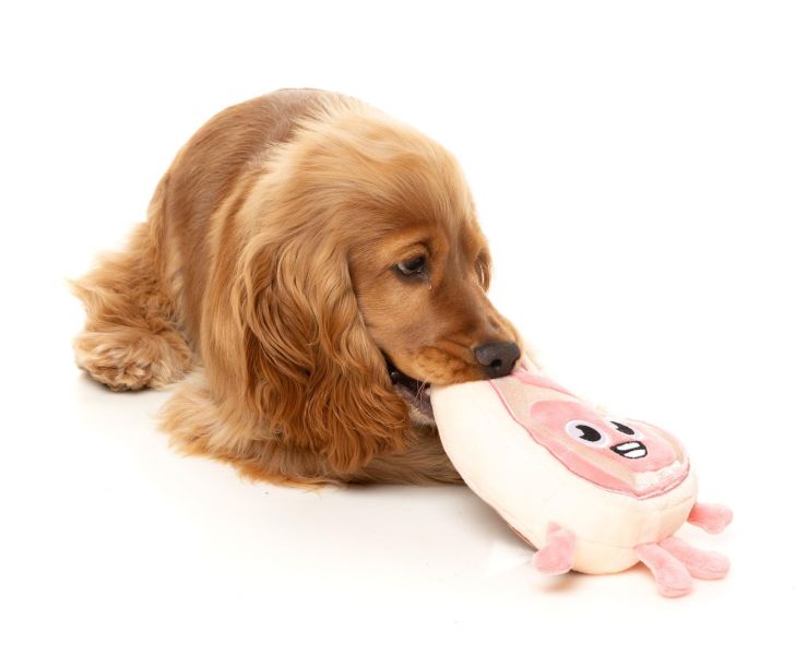 【FuzzYard】Piggy Smalls 豬小排｜澳洲設計 耐咬耐玩發聲玩具 可機洗 Fuzzyard,豬小排,豬排玩具,狗狗玩具,狗狗耐咬玩具,發聲狗玩具,啾啾玩具,肉造型狗玩具,狗狗互動玩具,狗狗放電玩具,狗狗紓壓玩具,寵物療癒玩具,小型犬玩具推薦,寵物陪伴玩具