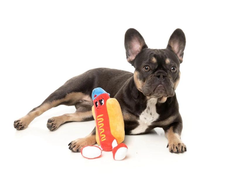 【FuzzYard】熱狗發聲玩具｜澳洲設計 耐咬耐玩 可機洗 Fuzzyard,熱狗,熱狗麵包狗玩具,狗狗玩具,狗狗耐咬玩具,發聲狗玩具,啾啾玩具,肉造型狗玩具,狗狗互動玩具,狗狗放電玩具,狗狗紓壓玩具,寵物療癒玩具,小型犬玩具推薦,寵物陪伴玩具