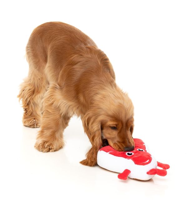 【FuzzYard】Tim Tee-Bowne 提姆肉排｜澳洲設計 耐咬耐玩發聲玩具 可機洗 Fuzzyard,歪歪腸,牛排玩具,狗狗玩具,狗狗耐咬玩具,發聲狗玩具,啾啾玩具,肉造型狗玩具,狗狗互動玩具,狗狗放電玩具,狗狗紓壓玩具,寵物療癒玩具,小型犬玩具推薦,寵物陪伴玩具