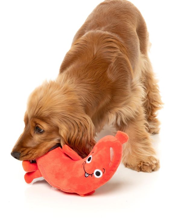 【FuzzYard】Brad Wurst 歪歪腸｜澳洲設計 耐咬耐玩發聲玩具 可機洗 Fuzzyard,歪歪腸,香腸狗玩具,狗狗玩具,狗狗耐咬玩具,發聲狗玩具,啾啾玩具,肉造型狗玩具,狗狗互動玩具,狗狗放電玩具,狗狗紓壓玩具,寵物療癒玩具,小型犬玩具推薦,寵物陪伴玩具