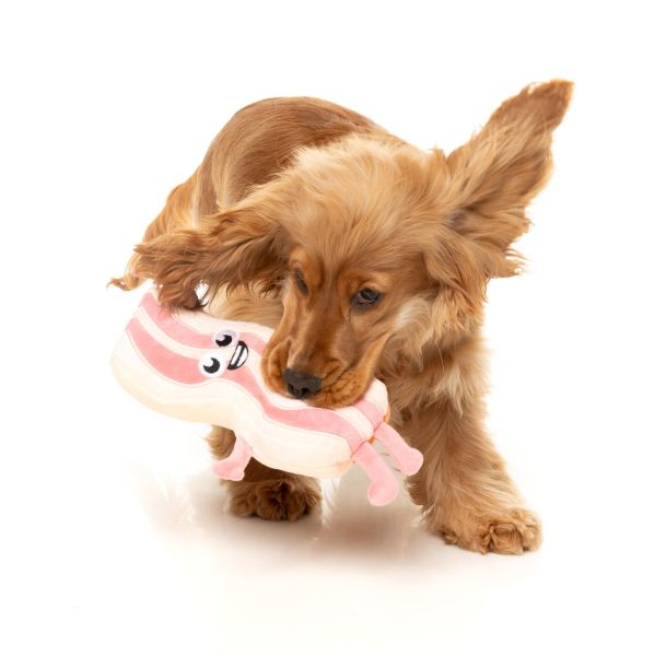 【FuzzYard】Kevin Bacon-Strip 培根凱文｜澳洲設計 耐咬耐玩發聲玩具 可機洗 Fuzzyard,歪歪腸,培根狗玩具,狗狗玩具,狗狗耐咬玩具,發聲狗玩具,啾啾玩具,培根造型狗玩具,狗狗互動玩具,狗狗放電玩具,狗狗紓壓玩具,寵物療癒玩具,小型犬玩具推薦,寵物陪伴玩具