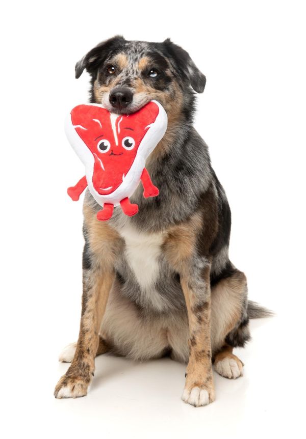 【FuzzYard】Tim Tee-Bowne 提姆肉排｜澳洲設計 耐咬耐玩發聲玩具 可機洗 Fuzzyard,歪歪腸,牛排玩具,狗狗玩具,狗狗耐咬玩具,發聲狗玩具,啾啾玩具,肉造型狗玩具,狗狗互動玩具,狗狗放電玩具,狗狗紓壓玩具,寵物療癒玩具,小型犬玩具推薦,寵物陪伴玩具