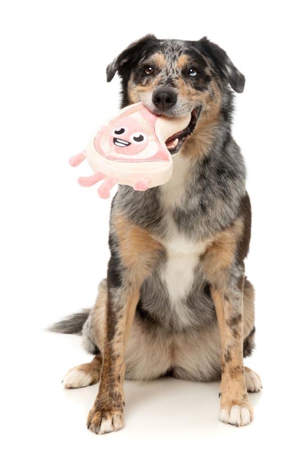 【FuzzYard】Piggy Smalls 豬小排｜澳洲設計 耐咬耐玩發聲玩具 可機洗 Fuzzyard,豬小排,豬排玩具,狗狗玩具,狗狗耐咬玩具,發聲狗玩具,啾啾玩具,肉造型狗玩具,狗狗互動玩具,狗狗放電玩具,狗狗紓壓玩具,寵物療癒玩具,小型犬玩具推薦,寵物陪伴玩具
