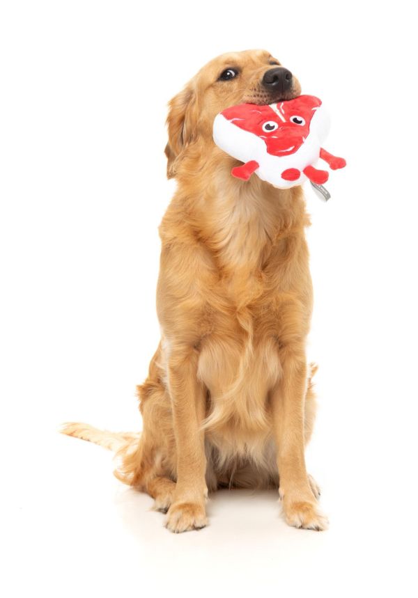 【FuzzYard】Tim Tee-Bowne 提姆肉排｜澳洲設計 耐咬耐玩發聲玩具 可機洗 Fuzzyard,歪歪腸,牛排玩具,狗狗玩具,狗狗耐咬玩具,發聲狗玩具,啾啾玩具,肉造型狗玩具,狗狗互動玩具,狗狗放電玩具,狗狗紓壓玩具,寵物療癒玩具,小型犬玩具推薦,寵物陪伴玩具