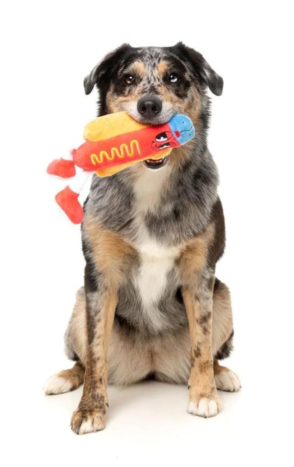 【FuzzYard】熱狗發聲玩具｜澳洲設計 耐咬耐玩 可機洗 Fuzzyard,熱狗,熱狗麵包狗玩具,狗狗玩具,狗狗耐咬玩具,發聲狗玩具,啾啾玩具,肉造型狗玩具,狗狗互動玩具,狗狗放電玩具,狗狗紓壓玩具,寵物療癒玩具,小型犬玩具推薦,寵物陪伴玩具