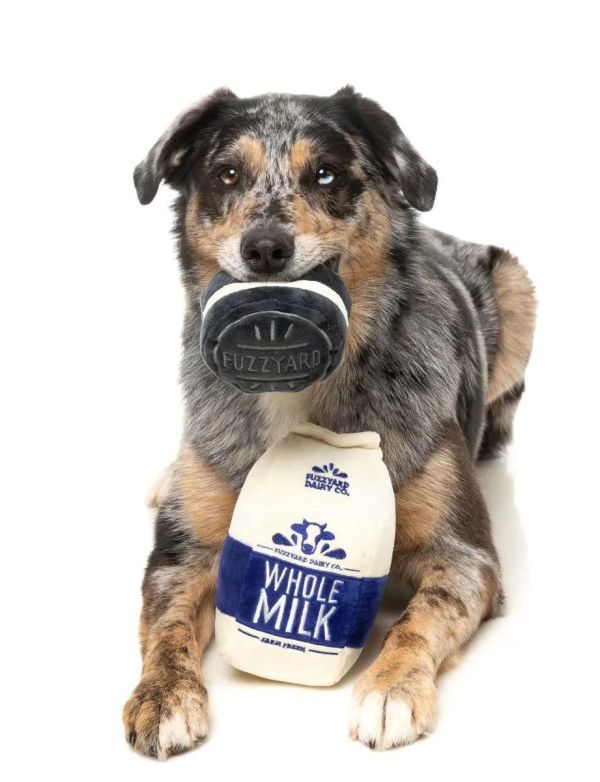 【FuzzYard】Milk & Cookie 2PK 牛奶與餅乾 2入組｜澳洲設計 耐咬耐玩發聲玩具 可機洗 Fuzzyard,歪歪腸,牛奶狗玩具,餅乾狗玩具,狗狗玩具,狗狗耐咬玩具,發聲狗玩具,啾啾玩具,肉造型狗玩具,狗狗互動玩具,狗狗放電玩具,狗狗紓壓玩具,寵物療癒玩具,小型犬玩具推薦,寵物陪伴玩具