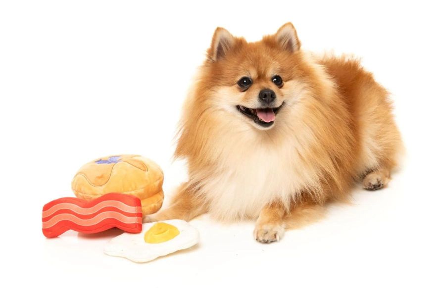 【FuzzYard】Dog's Breakfast 3PK 狗狗的早餐 3入組｜澳洲設計 耐咬耐玩發聲玩具 可機洗 Fuzzyard,狗狗的早餐,早餐狗玩具,,狗狗玩具,狗狗耐咬玩具,發聲狗玩具,啾啾玩具,肉造型狗玩具,狗狗互動玩具,狗狗放電玩具,狗狗紓壓玩具,寵物療癒玩具,小型犬玩具推薦,寵物陪伴玩具