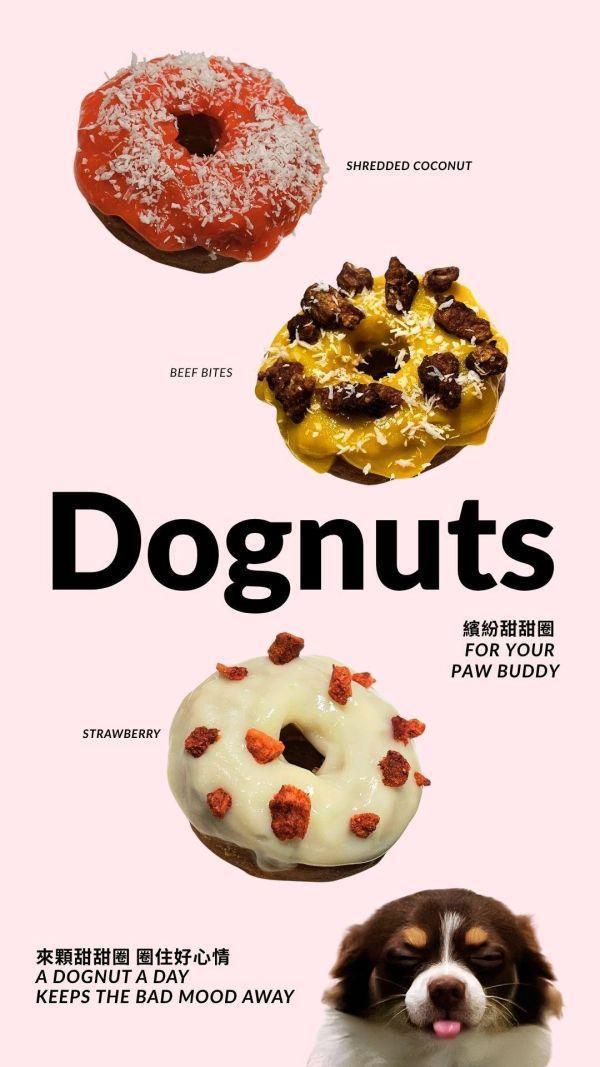 【喜翻 JOLLYROLL】Dognut！寵物甜甜圈-3入組 (未開封前常溫保存) 寵物甜甜圈、狗狗甜甜圈、DIY狗狗甜點、寵物食玩、狗狗生日蛋糕替代、毛孩甜甜圈、Dognut、狗狗派對零食、寵物生日禮物、狗狗點心、常溫寵物甜點、狗狗下午茶、毛孩生日、寵物零食禮盒、狗狗慶生、寵物DIY零食、喜翻甜甜圈、美式寵物零食、寵物儀式感、狗狗拍照零食