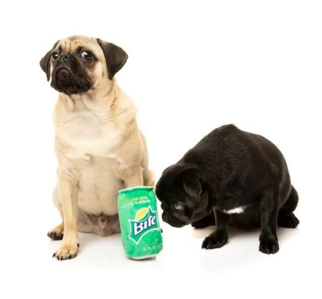 【FuzzYard】犬碧發聲玩具｜澳洲設計 耐咬耐玩 可機洗 Fuzzyard,犬碧,雪碧,雪碧狗玩具,狗狗玩具,狗狗耐咬玩具,發聲狗玩具,啾啾玩具,啤酒造型狗玩具,狗狗互動玩具,狗狗放電玩具,狗狗紓壓玩具,寵物療癒玩具,小型犬玩具推薦,寵物陪伴玩具