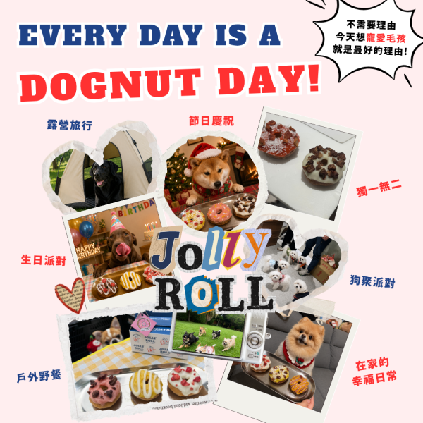 【喜翻 JOLLYROLL】Dognut！寵物甜甜圈-3入組 (未開封前常溫保存) 寵物甜甜圈,狗狗甜甜圈,DIY狗狗甜點,寵物食玩,狗狗生日蛋糕替代,毛孩甜甜圈,Dognut,狗狗派對零食,寵物生日禮物,狗狗點心,常溫寵物甜點,狗狗下午茶,毛孩生日,寵物零食禮盒,狗狗慶生,寵物DIY零食,喜翻甜甜圈,美式寵物零食,寵物儀式感,狗狗拍照零食