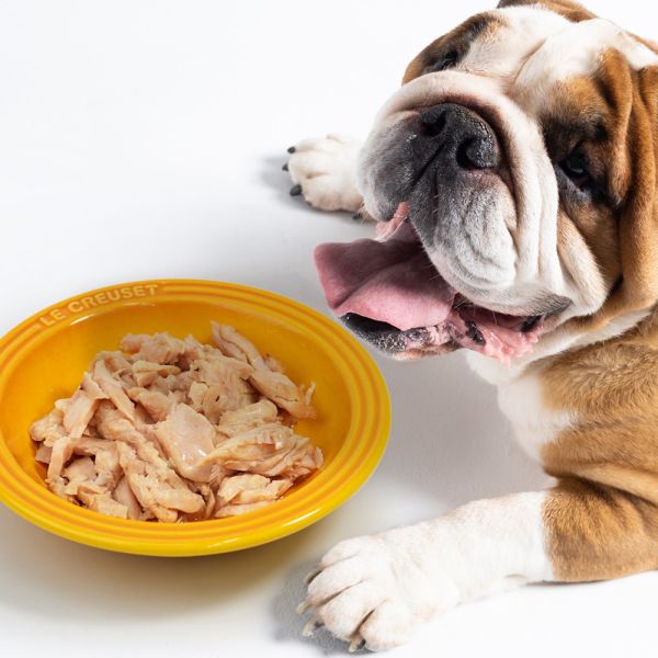 【黑皮零食派對】我好塊肉-雞胸 100g (無骨) 黑皮零食派對, 我好塊肉, 雞胸肉, 蒸煮肉片, 無骨雞腿, 狗狗肉片, 貓狗通用, 低脂高蛋白, 天然無添加, 無調味, 無防腐劑, 軟嫩好咬, 好消化, 主食加料, 健康補給, 提升食慾, 常溫保存, 人食等級, 台灣製造, dog food topper, chicken breast for dogs, natural pet nutrition, lepone, 樂芃