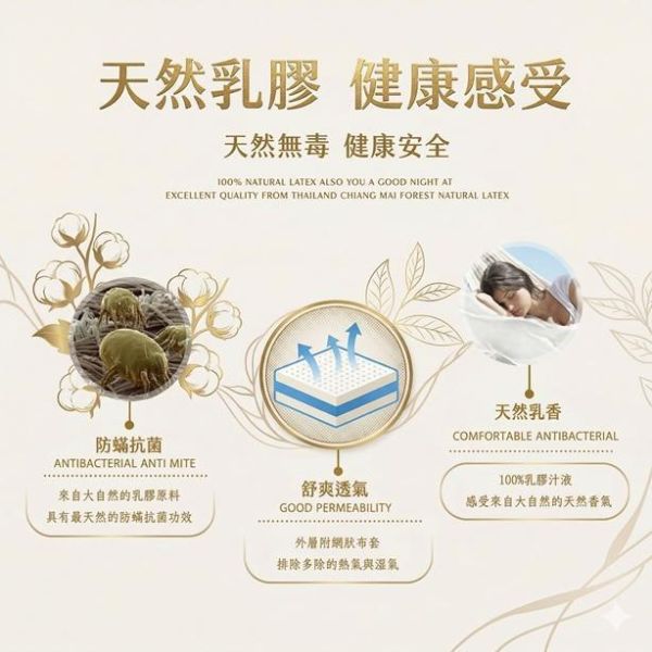 舒適曲線乳膠枕 