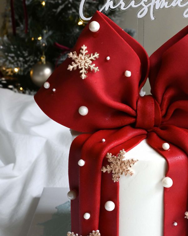 Christmas present 聖誕節、聖誕節蛋糕、蝴蝶結、送女生蛋糕