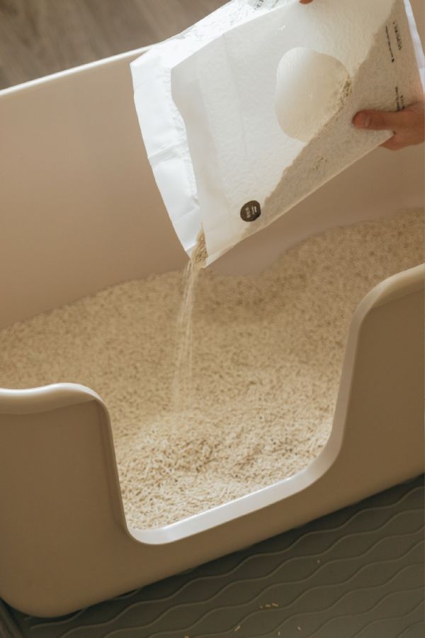 喵皇奴 SUPURE！超殼以條型豆腐砂3包組．多入優惠 