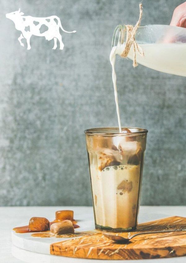 Dripo 牧場牛乳即溶飲品 