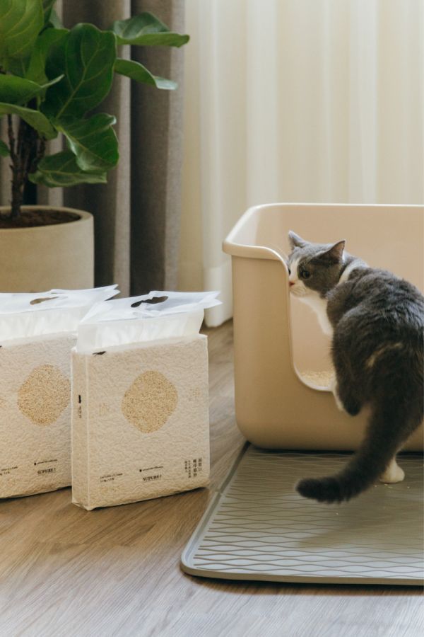 喵皇奴 SUPURE！超殼以條型豆腐砂3包組．多入優惠 