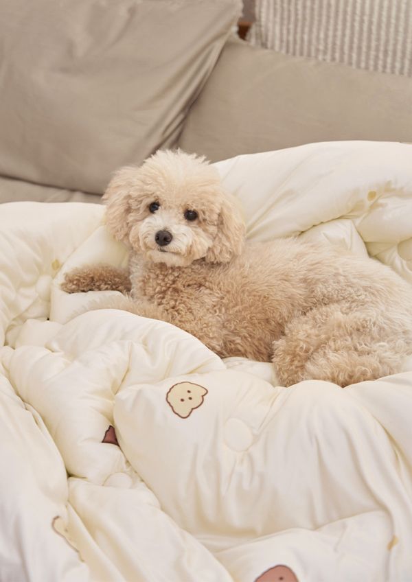 52weeks X 青鳥家居 好好睡奶蓋被．印花款 