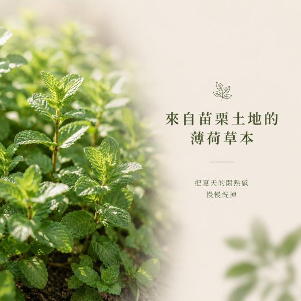 薄荷手工皂 薄荷手工皂, 薄荷香皂, 草本手工皂, 天然香皂, 無香精香皂, 清涼皂, 洗臉皂推薦, 洗澡用手工皂, 夏天香皂, 手工皂控油, 臉部用香皂, 可洗臉香皂, 冷製皂薄荷, 手工香皂推薦,