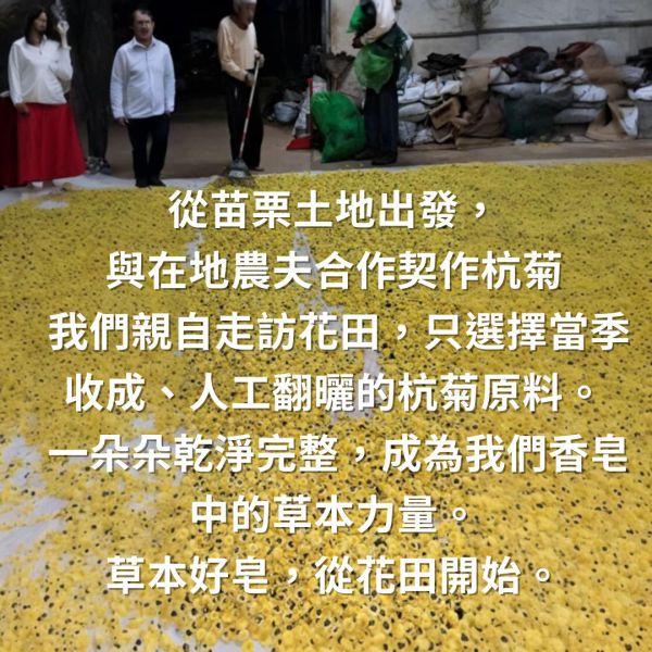 銅鑼杭菊天然手工皂 杭菊手工皂, 杭菊香皂, 天然草本香皂, 苗栗杭菊, 契作杭菊, 草本手工皂, 舒緩肌膚, 無香精香皂, 植物油冷製皂, 適合敏感肌的香皂,