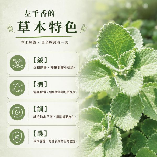 左手香純露｜草本蒸餾原液 左手香純露, 左手香保濕噴霧, 草本純露, 天然純露, 保濕噴霧, 左手香保養, 左手香萃取液, 舒緩純露, 草本保養品, 天然保濕噴霧, 苗栗左手香, 純露推薦, 草本噴霧, 日常保養, 溫和保養