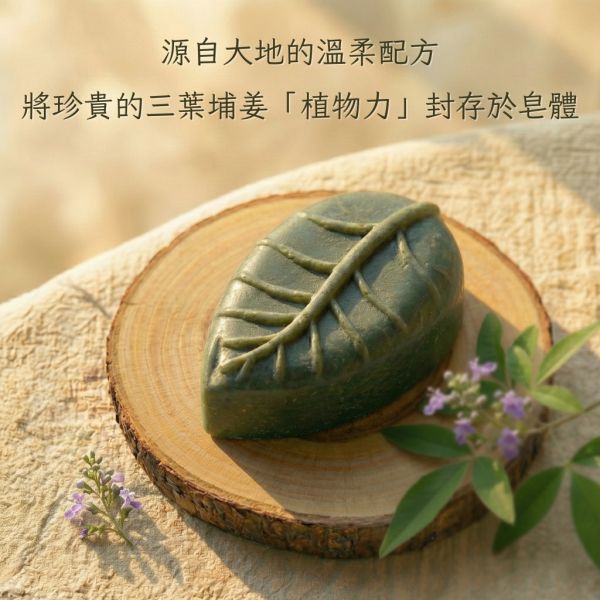 三葉埔姜手工皂 三葉埔姜手工皂, 三葉埔姜, 天然手工皂, 草本手工皂, 舒緩肌膚皂, 敏感肌適用手工皂, 無添加手工皂, 草本清潔, 植物手工皂