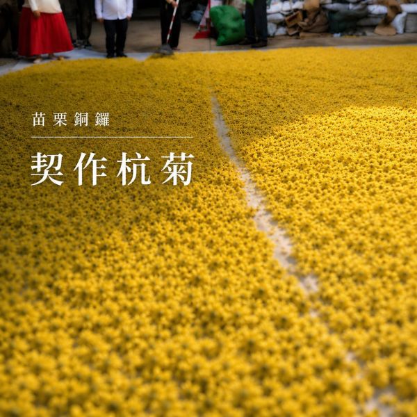 銅鑼杭菊手工皂 杭菊手工皂, 杭菊香皂, 天然草本香皂, 苗栗杭菊, 契作杭菊, 草本手工皂, 舒緩肌膚, 無香精香皂, 植物油冷製皂, 適合敏感肌的香皂,