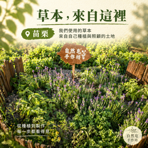 艾草純露｜草本蒸餾原液 艾草純露,艾草噴霧,天然純露推薦,草本純露,保濕噴霧,舒緩肌膚,天然保養,艾草保養,純露是什麼,臉部噴霧推薦,身體噴霧,清爽保濕,敏感肌適用,自然皂手作坊