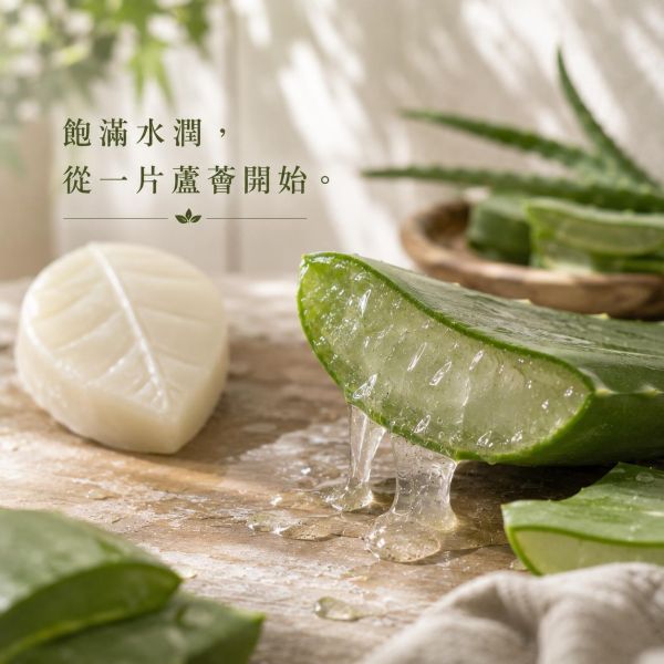 蘆薈手工皂 蘆薈手工皂、蘆薈皂、天然手工皂、洗臉手工皂、沐浴手工皂、洗手皂、蘆薈原汁、植物油手工皂、六種植物油、椰子油手工皂、橄欖油手工皂、玄米油手工皂、葡萄籽油手工皂、葵花油手工皂、清爽洗感、水潤洗感、細緻泡沫、手工皂推薦、天然洗沐、日常清潔
