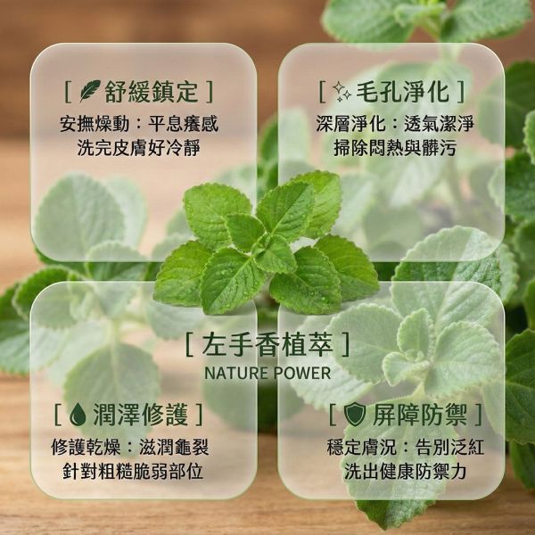 左手香手工皂 左手香手工皂, 天然草本皂, 抗菌香皂, 無添加香皂, 左手香香皂, 草本清香皂, 冷製手工皂, 敏感肌香皂, 天然防護香皂, 自然皂手作坊