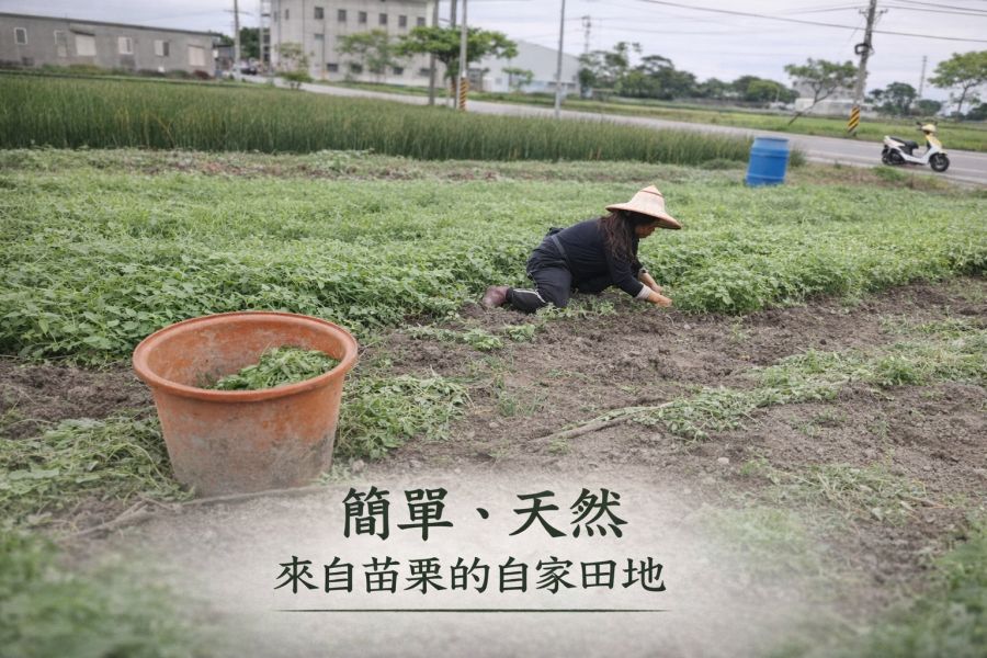 抹草手工皂 抹草手工皂, 天然抹草香皂, 草本手工皂, 驅穢香皂, 淨化皂, 抹草原汁香皂, 天然洗手皂, 草本淨化香皂, 苗栗手工皂, 自然皂手作坊, 無香精香皂, 敏感肌適用香皂