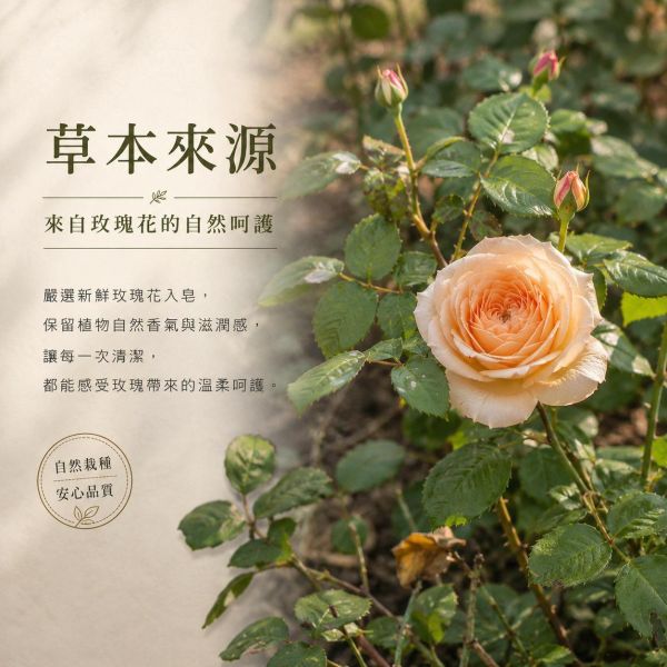 玫瑰花手工皂 玫瑰花手工皂, 玫瑰皂, 保濕手工皂, 天然手工皂, 洗臉手工皂, 沐浴手工皂, 手工香皂, 草本手工皂, 溫和潔淨, 洗後不緊繃, 保濕香皂, 手工肥皂推薦, 苗栗手工皂, 天然肥皂, 玫瑰香皂