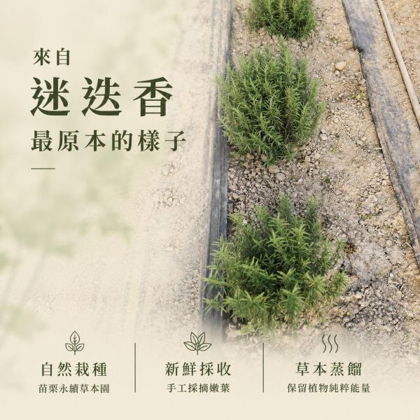 迷迭香純露｜草本蒸餾原液 迷迭香純露、迷迭香花水、迷迭香蒸餾純露、草本純露推薦、天然純露、純露噴霧、500ml純露、迷迭香保養、草本保養、苗栗手工純露、自然皂手作坊、迷迭香花水推薦、純露補水、植物純露、天然草本純露